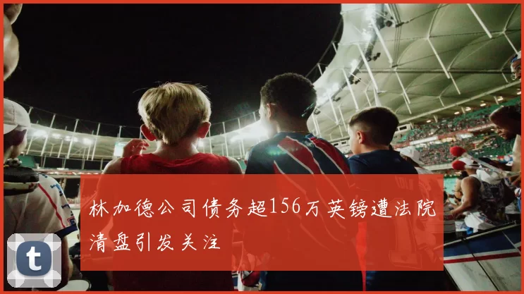 林加德公司债务超156万英镑遭法院清盘引发关注